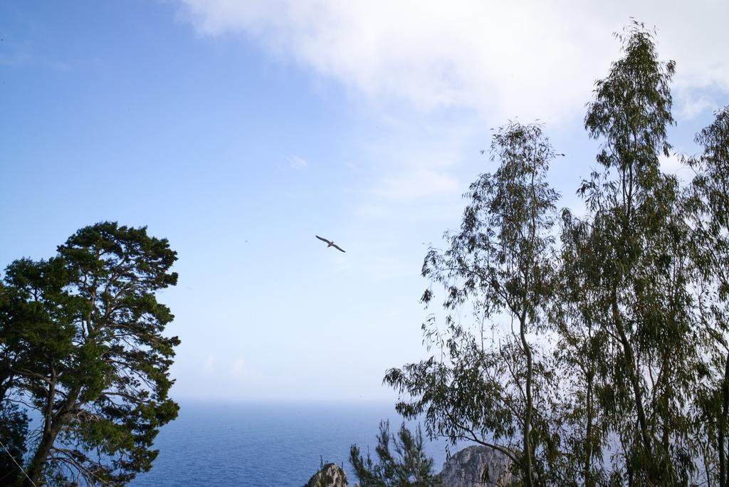 Villacore Capri Quarto foto